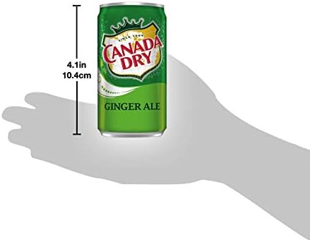Canada Dry Ginger Ale Mini Soda Cans, 7.5 oz Soft Drinks Bulk Snacks Pack, Small Refrigerator & Snack Pantry Drink 24 Count Beverage Kitchen Supplies