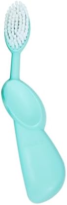 RADIUS Toothbrush Original Big Brush, BPA Free ADA Accepted - Right Hand - Mint Green Brush with Mint Green Case