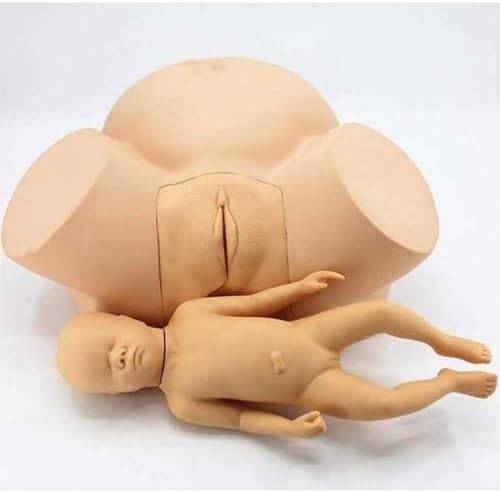 Birth Simulator Demonstration Female Childbirth Manikin Advanced Midwifery Training Model Obstetrics and Gynecology Delivery Maternity Simulator for Nursing Medical Teaching Education