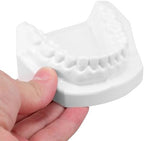 Standard Tooth Model with Extractable Teeth and Soft Gum for Adult Dental Teaching and Flossing Practice for Study and Professional Education