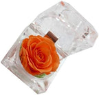BESTonZON 1Pcs Preserved Eternity Rose Never Withered Rose for Valentines Day Birthday and Anniversary with Drawer Box (Orange)