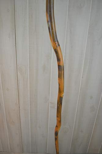 Walking Stick - Free Form Hickory - Curvy Walking Sticks - Strong - Up to 60" - Customize