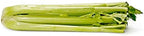 Organic Celery Bunch