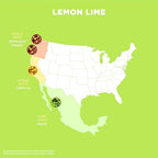Spindrift "Lemon Lime" Soda, Made with Real Squeezed Fruit, Pack of 12