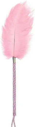 BDSM Feather Teaser Whip & Paddle for Adults - SM Spaking Alternative Foreplay Flirting Sexy Tool Sex Toys for Couples & Lovers, Spanking Accessories with Soft Feather Tickler Pink