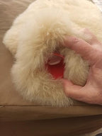 Baby Alpaca Fur Hot Water Bottle Cover, Soft Sheep Wool Inside, 100% Natural