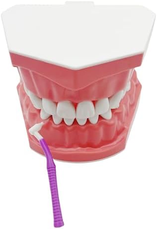 Interproximal Brush, Gum Interdental Brushes, L Angle Reusable Dental Cleaners Brushes,Disposable Oral Dental Hygiene Brush,Dental Toothpick Floss for Braces,Tooth Cleaning Tool (0.7mmPurple, Normal)