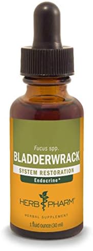 Herb Pharm Bladderwrack Liquid Extract - 1 Ounce (DBLADD01)
