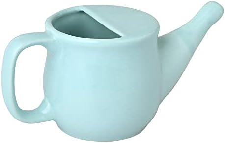 HealthGoodsIn Ceramic Neti Pot, Spill Proof with 5 Sachet Neti Salt, Microwave Safe, Holds 250 ML (8.4 FL Oz) (Mint Green)