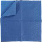 200 Pack Cocktail Napkin 2-Ply Dessert Napkins Folded 5 x 5 Inches Disposable Napkins for Dinner Wedding Birthday Party Bridal Anniversary Reception Event (200, Navy Blue)