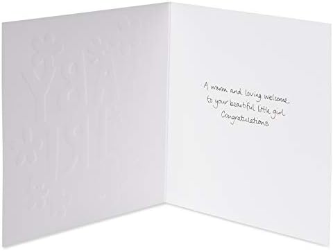 Papyrus New Baby Girl Card (Warm and Loving Welcome)