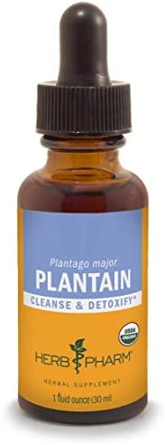 Herb Pharm Certified Organic Plantain Liquid Extract for Cleansing and Detoxification - 1 Ounce (DPLAN01)