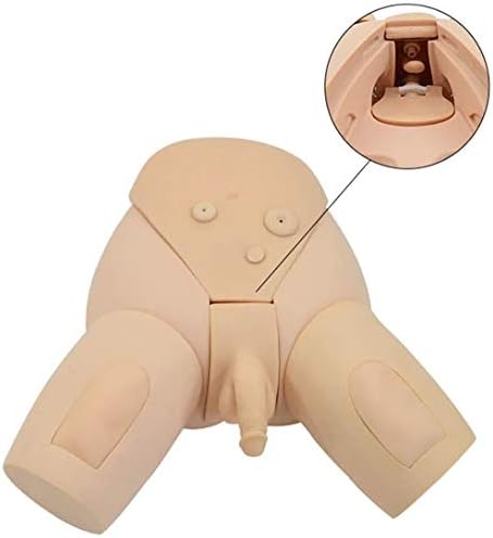 PPWYY Male and Female Manikin Urinary Catheterization Model Nursing Practice Simulator Interchangeable Mannequin for Nursing Medical Training
