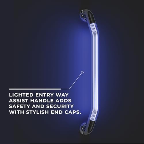 Manufacturer's Select ITC Formed 20” IllumaGrip Assist Handle with LED lit Center Handle for RV, Boat, or Home Step Assist Handle for Interior or Exterior use