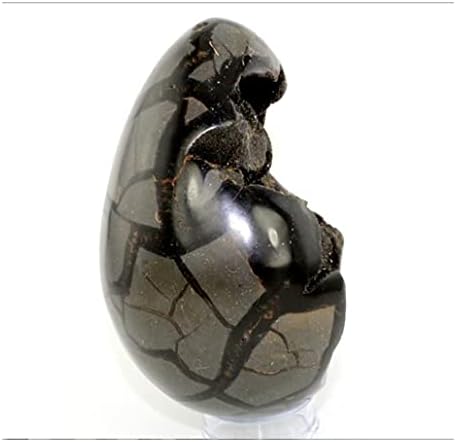 Health & Household Large Septarian Nodule/Dragon Egg w/Druzy Aragonite (Madagascar) Natural Crystal Specimen