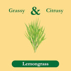 Tadin Lemongrass Tea, Herbal Tea, Caffeine Free, 24 Tea Bags Individually Wrapped Per Box, Pack of 1