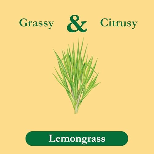 Tadin Lemongrass Tea, Herbal Tea, Caffeine Free, 24 Tea Bags Individually Wrapped Per Box, Pack of 1