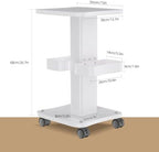 Esthetician Cart with Wheels and 2 Trays, 4 Tier Salon and Spa Equipment Trolley Carts, Beauty Machine Trolley, Load 135lbs