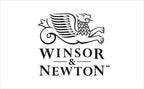 Winsor & Newton Professional Acrylic Medium, Modelling Paste, 474ml (16-oz)