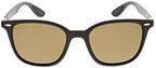 HIS HPS08118-3 Sunglasses, Green With Silver Flash Pole