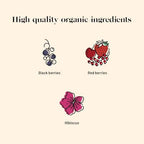Kusmi Tea - AquaRosa - Organic Herbal Tea with Hibiscus & Berries - Caffeine Free Herbal Tea - Enjoy Hot or Iced - 20 Tea Bags