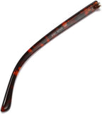 Glasses Legs Eyeglass Legs Glasses arms 1 Pair Plastic Replacement Temple Arm for Eyeglasses Repair, Red Leopard Print (Color : Coffee)