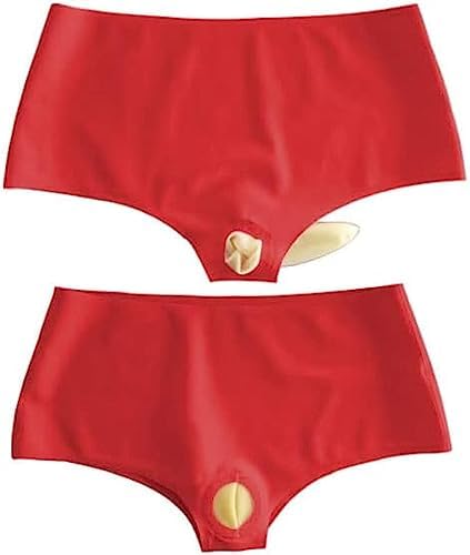 Latex Rubber Red Briefs with Transparent Sheath,Red,L