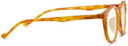 Peepers by PeeperSpecs Unisex Brain Trust Round Reading Glasses