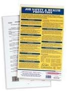 FEL52226 - Fellowes Glossy Pouch - Legal, 3 mil, 50 Pack