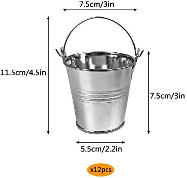 12 Pack Mini Metal Buckets Small Metal Pail Tinplate Tin Pails Containers with Handles for Party Favors and Garden Decorations (Silver)