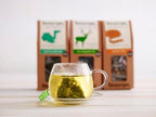 Teapigs Green Tea With Mint Bags Made With Whole Tea Leaves, Natural Ingredients, Non-GMO, Refreshing Moroccan Style – 50 Count (1 Pack of 50 Teabags)