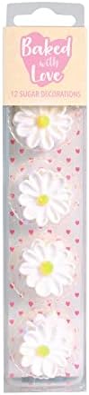 White Sugar Daisies - 12 Pack