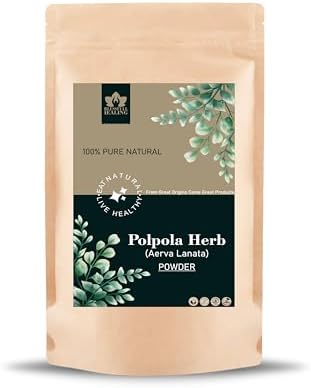 Blessfull Healing Polapola Herb(Aerva Lanata) Powder 100% Pure Natural 100 Gram / 3.52 oz