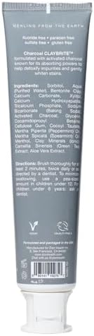 ClayBrite Activated Charcoal Toothpaste Zion Health 4 oz Paste
