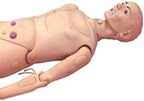Patient Care Manikin, Training Manikin Teaching Model Nursing Medical Science School Patient Care Full Body for Students Education Teaching Medical Training Skills - Ship from USA