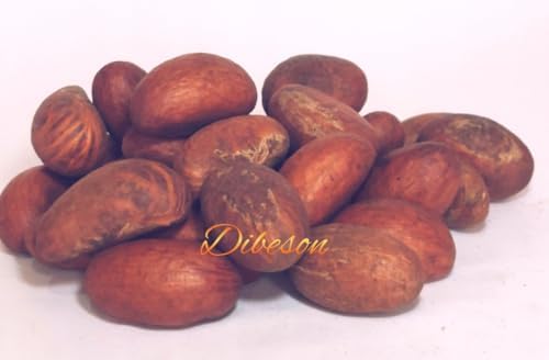 Dibeson Bitter kola nuts - Garcinia Kola, (5 Ounce), African bitter kola, Organic Bitter kola.