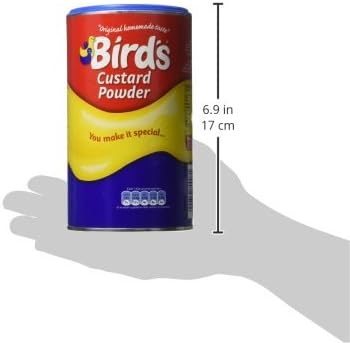 Bird's Vanilla Flavored Custard Powder 600g (Pack of 2)
