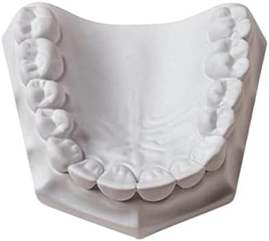 3 LB - White Dental Lab Plaster for Dental Cast Fabrication, Dental Study Model, Casting Replicas -3 lb. Dental Plaster White Type II Regular Set Model Stones Used in Dental Lab, Arts and Crafts