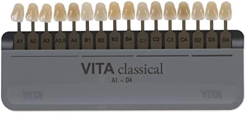 Vident G027C VITA Classical Dental Tooth Shade Guide A1-D4 Autoclavable