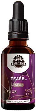 HerbEra Earth's Love - Teasel Alcohol Herbal Extract Tincture, Super-Concentrated Teasel (Dipsacus fullonum, Dipsacus sylvestris) Dried Root (2 fl oz)