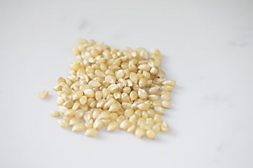 Amish Country Popcorn | 50 lbs Bag | Medium White Popcorn Kernels | Old Fashioned, Non-GMO and Gluten Free (Medium White - 50 lbs Bag)