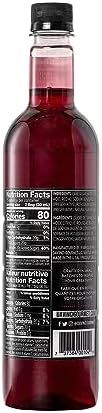 DaVinci Gourmet Classic Raspberry Syrup, 25.4 Fluid Ounces (Pack of 1)