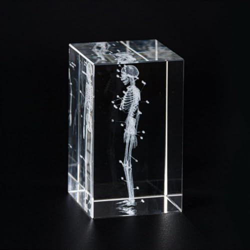 3D Crystal Human Skeleton Anatomical Model - Cubic Etched Anatomical Tooth Model for Home and Office Decoration Dentists Gifts