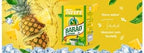 Barão de Cotegipe Yerba Mate - Erva Mate Chimarrão Hot or Cold - Tereré Iced Tea Fruity Flavors (Nativa, Pack of 1) 2.2Lb