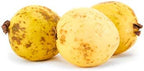 Guava Conventional