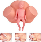Birth Midwifery Training Simulator Model PVC Anatomy Childbirth Simulator Manikin Female Pelvis & Baby Model Normal and Abnormal Fetal Positions for Study Display Teaching Medical Model