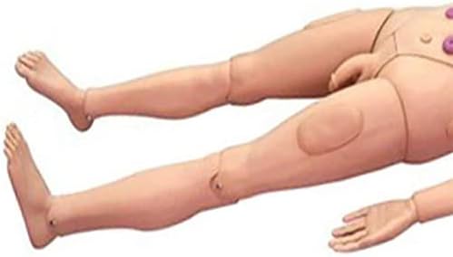 Patient Care Manikin, Training Manikin Teaching Model Nursing Medical Science School Patient Care Full Body for Students Education Teaching Medical Training Skills - Ship from USA