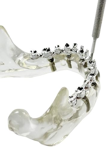 Dental Implant Practice Model, YOUYA DENTAL Maxillary Sinus Implant Model Dental Mandibular Sinus with Soft Gums for Dentist Student Studying Teaching Training Teaching Demonstration Clinic Model
