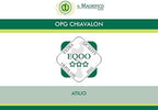 Croatian Extra Virgin Olive Oil | Chiavalon Atilio | High Polyphenol Olive Oil