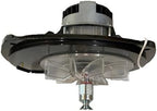 Replacement Motor for Eureka Sanitaire Replacement 5.0 Amp Motor Assembly for SC678,679,689 Sanitaire Vacuum Cleaners, Replaces Prod No. 15943-1 and 53349-8, 15943-2
